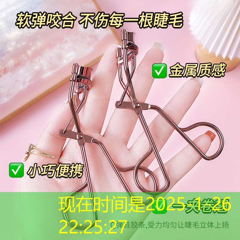 从哪里购买优质的绿化苗木？