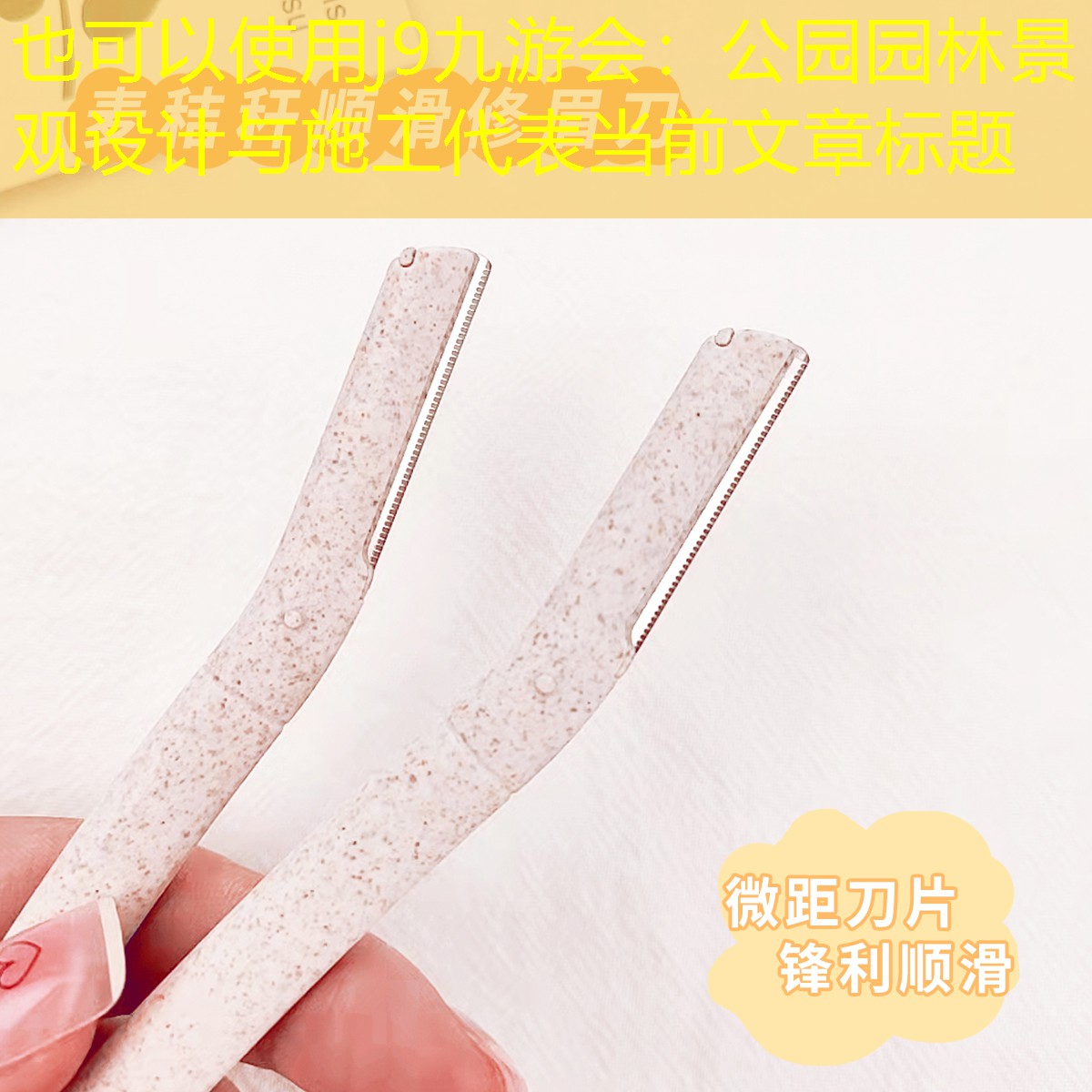 公园园林景观设计与施工