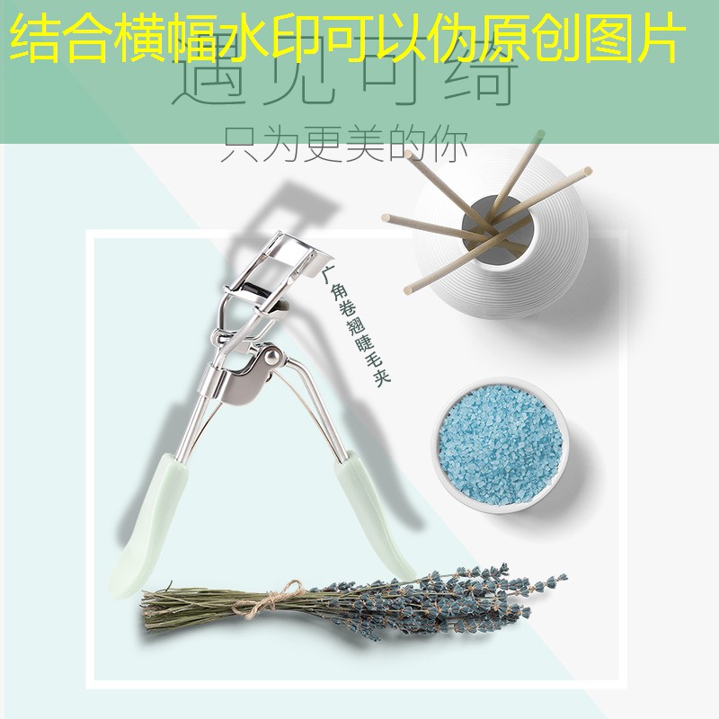 宣威园林绿化树苗批发市场